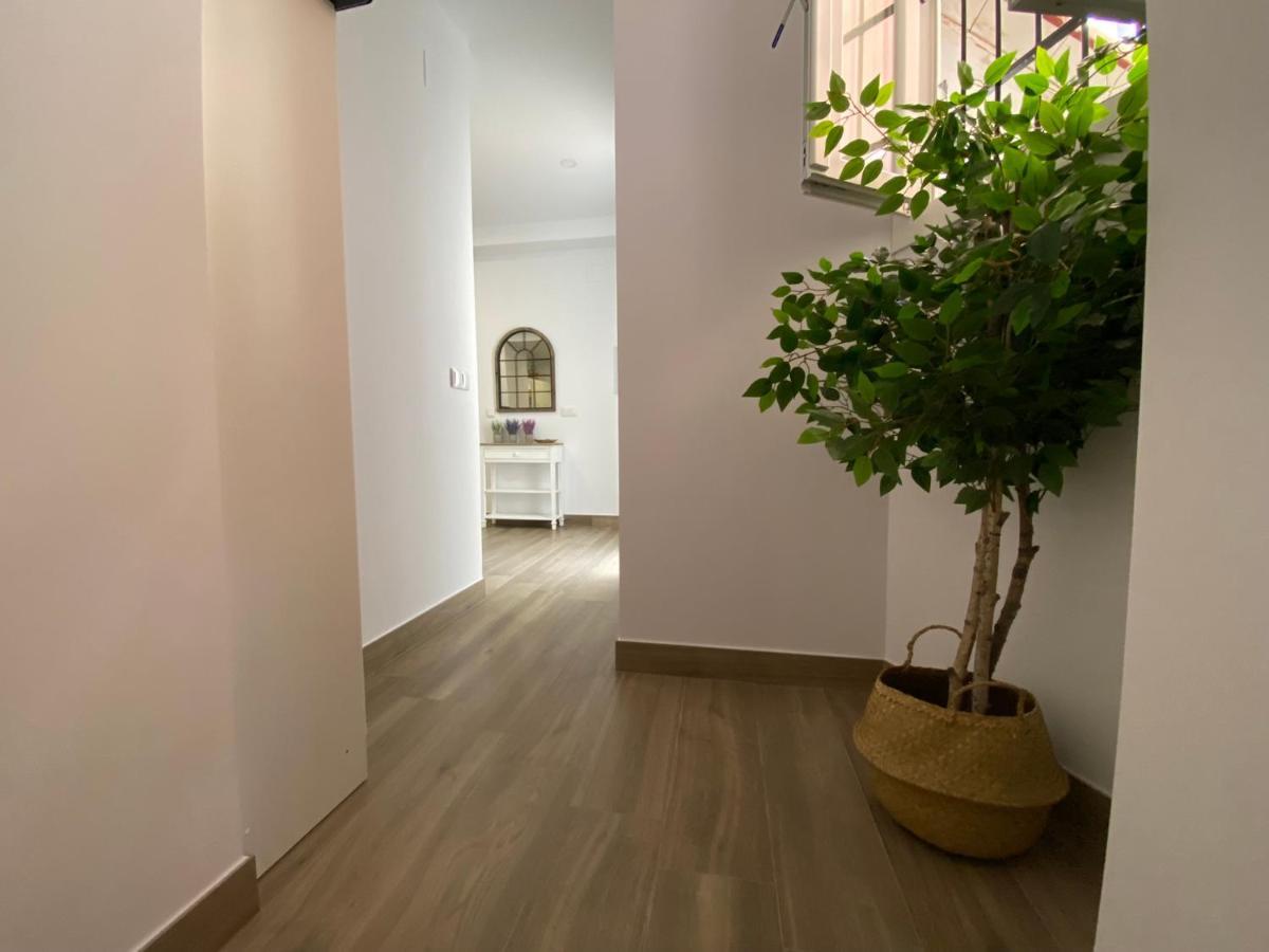 La Suite Des Couleurs - Apartamento En Pleno Centro De Kordoba Bagian luar foto